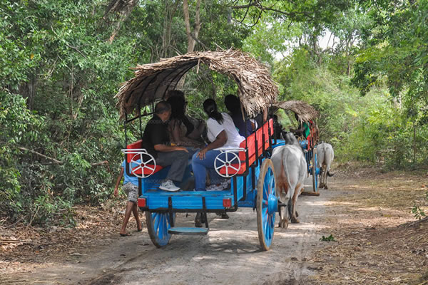 Village tour